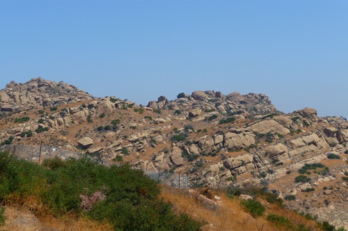 Image Caption